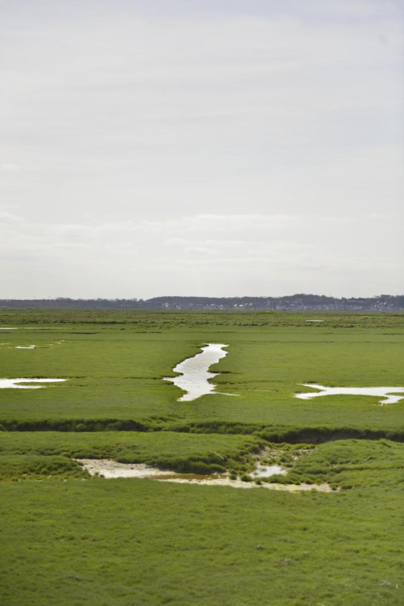 Le Cottage De La Baie - Vue Mer En Baie De Somme Woignarue Luaran gambar